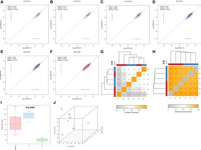Screening the immune-related circRNAs and genes in mice of spinal cord injury by RNA sequencing